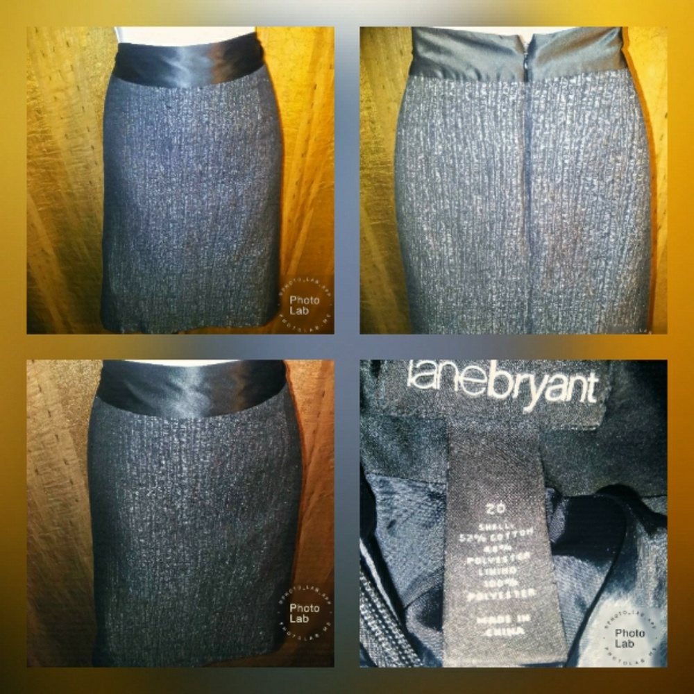 Lane Bryant Skirt